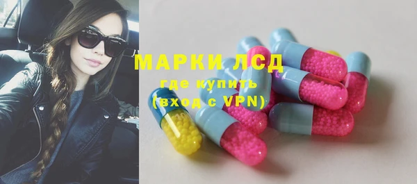 гидра Снежногорск