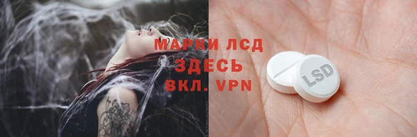 гидра Снежногорск