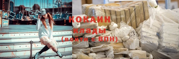гидра Снежногорск