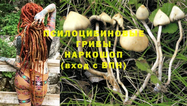 скорость Верхний Тагил