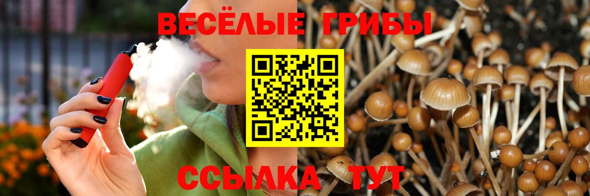 Псилоцибиновые грибы GOLDEN TEACHER  Вход с VPN  Гусь-Хрустальный 