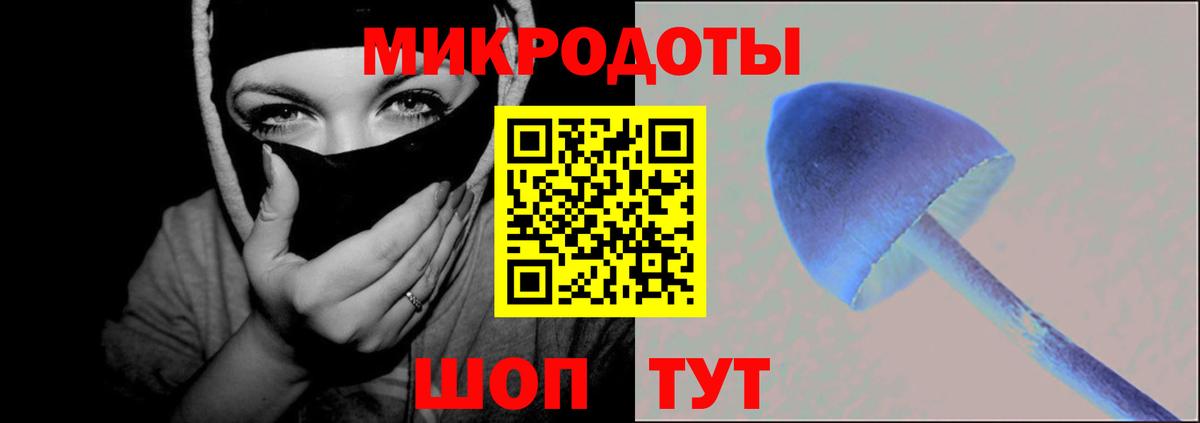 Галлюциногенные грибы Psilocybine cubensis Гусь-Хрустальный